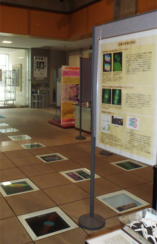 aplab-photo.jpg