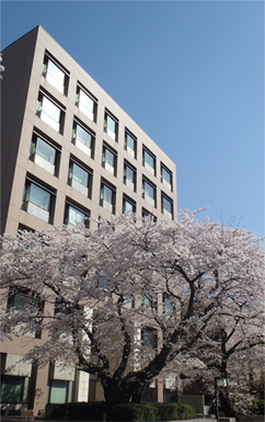 sakura2015.jpg