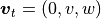 \mbox{\boldmath$v$}_t = (0,v,w)