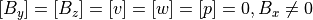 \left[ B_y \right] = \left[ B_z \right] =
\left[ v \right] = \left[ w \right] = \left[ p \right] = 0, B_x \ne 0