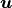 \mbox{\boldmath$u$}
