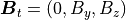 \mbox{\boldmath$B$}_t = (0,B_y,B_z)