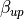 \beta_{up}
