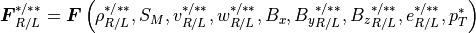 \mbox{\boldmath$F$}_{R / L}^{\ast / \ast \ast} =
\mbox{\boldmath$F$} \left(
\rho_{R / L}^{\ast / \ast \ast},
S_M,
v_{R / L}^{\ast / \ast \ast},
w_{R / L}^{\ast / \ast \ast},
B_x,
{B_y}_{R / L}^{\ast / \ast \ast},
{B_z}_{R / L}^{\ast / \ast \ast},
e_{R / L}^{\ast / \ast \ast},
p_T^\ast
\right)