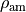\rho_{\mathrm{am}}