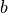 \boldmath{b}