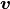 \mbox{\boldmath$v$}