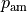p_{\mathrm{am}}