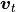 \mbox{\boldmath$v$}_t