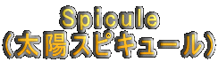 Spicule