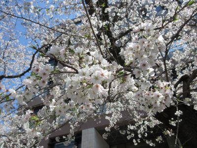 理学部2号館エントランス周辺