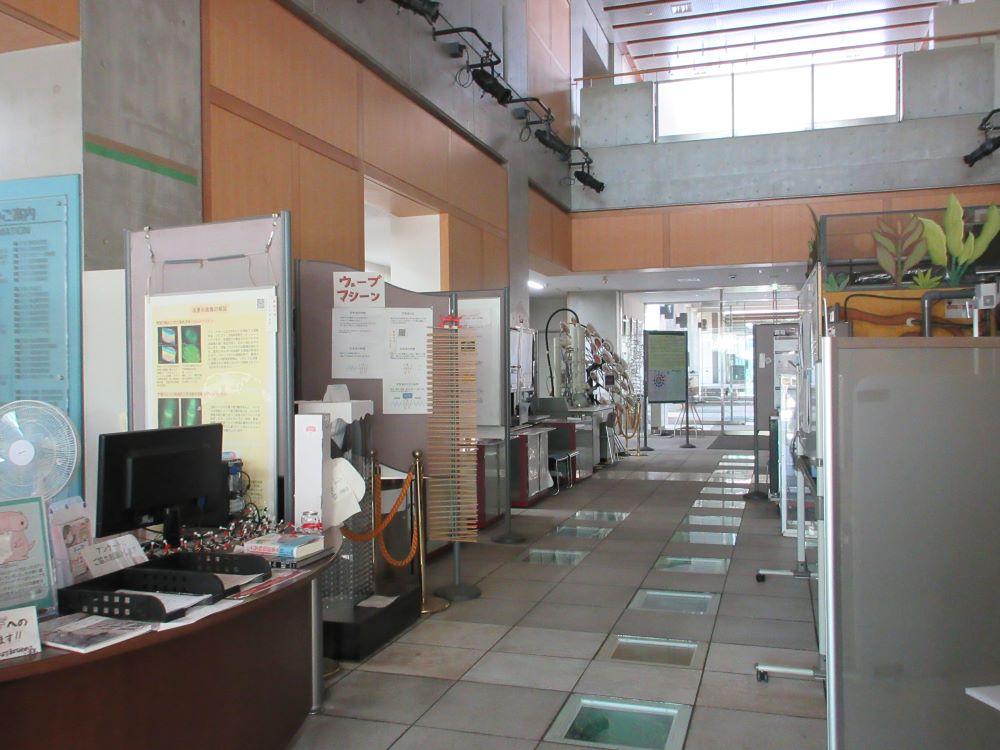 サイエンスプロムナードに展示（一般公開）
