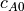 c_{A0}