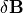 \delta \bf B